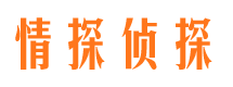 泗阳侦探